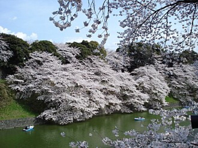 千鳥淵綠道