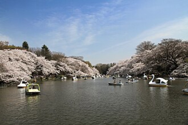 井之頭恩賜公園