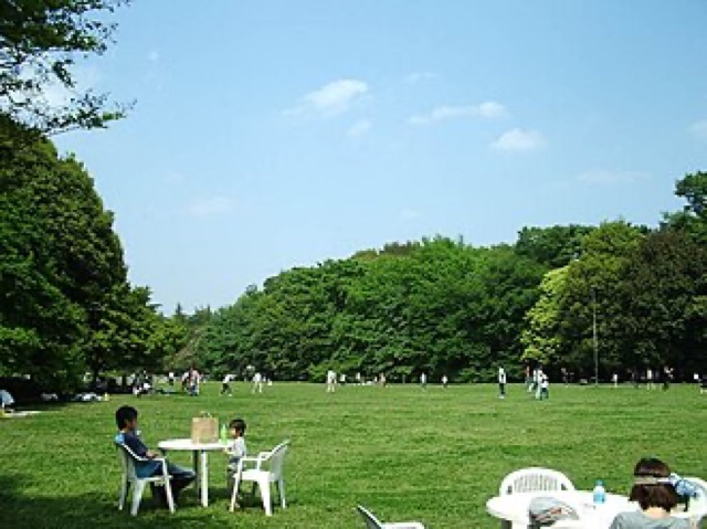 砧公園