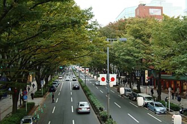 表參道・貓街
