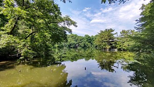 石神井公園