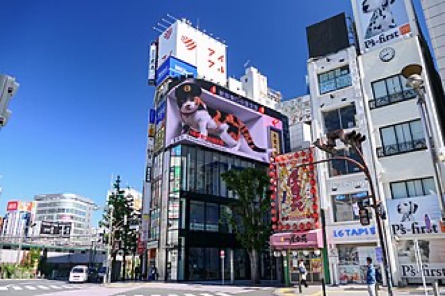 新宿東口 3D 巨貓