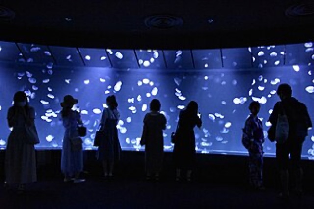 陽光水族館