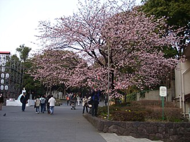 上野恩賜公園