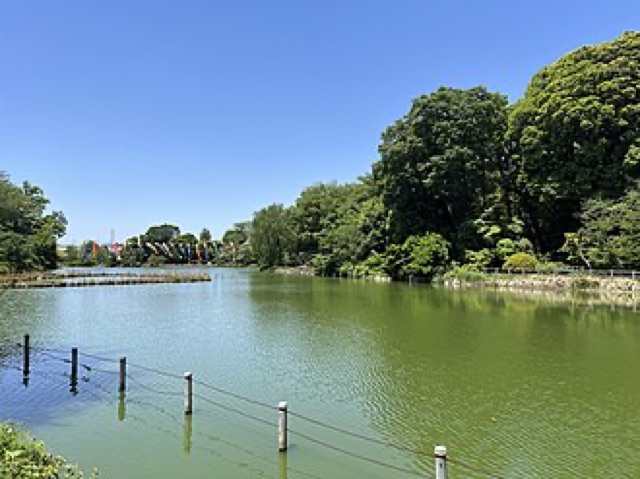 善福寺公園